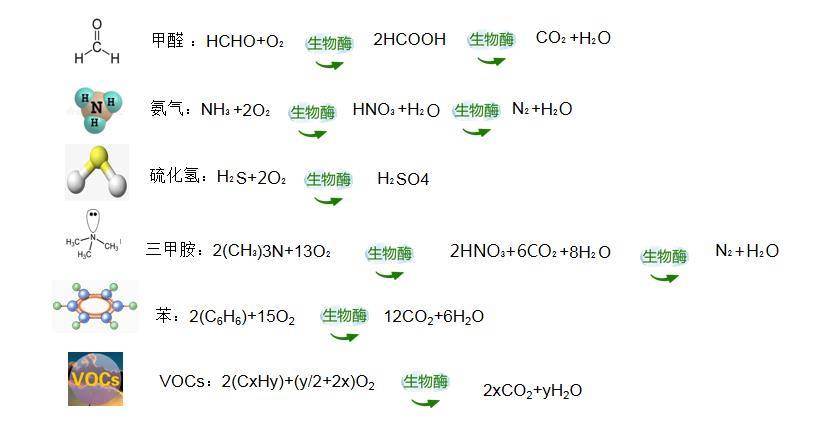 生物酶空气净化