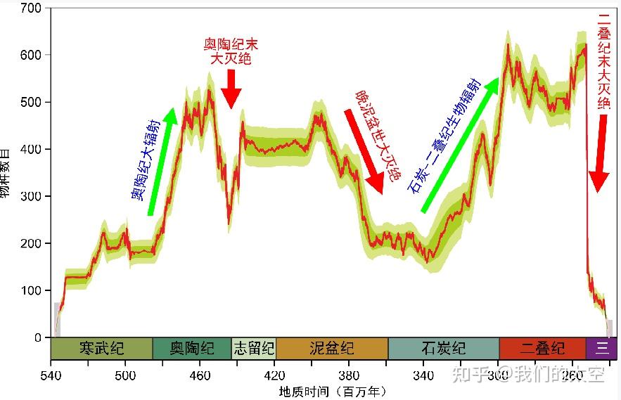 猪皮革用途的多样性与重要性