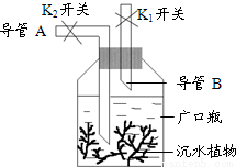 探究造纸实验原理，从原料到纸张的神奇转化之旅